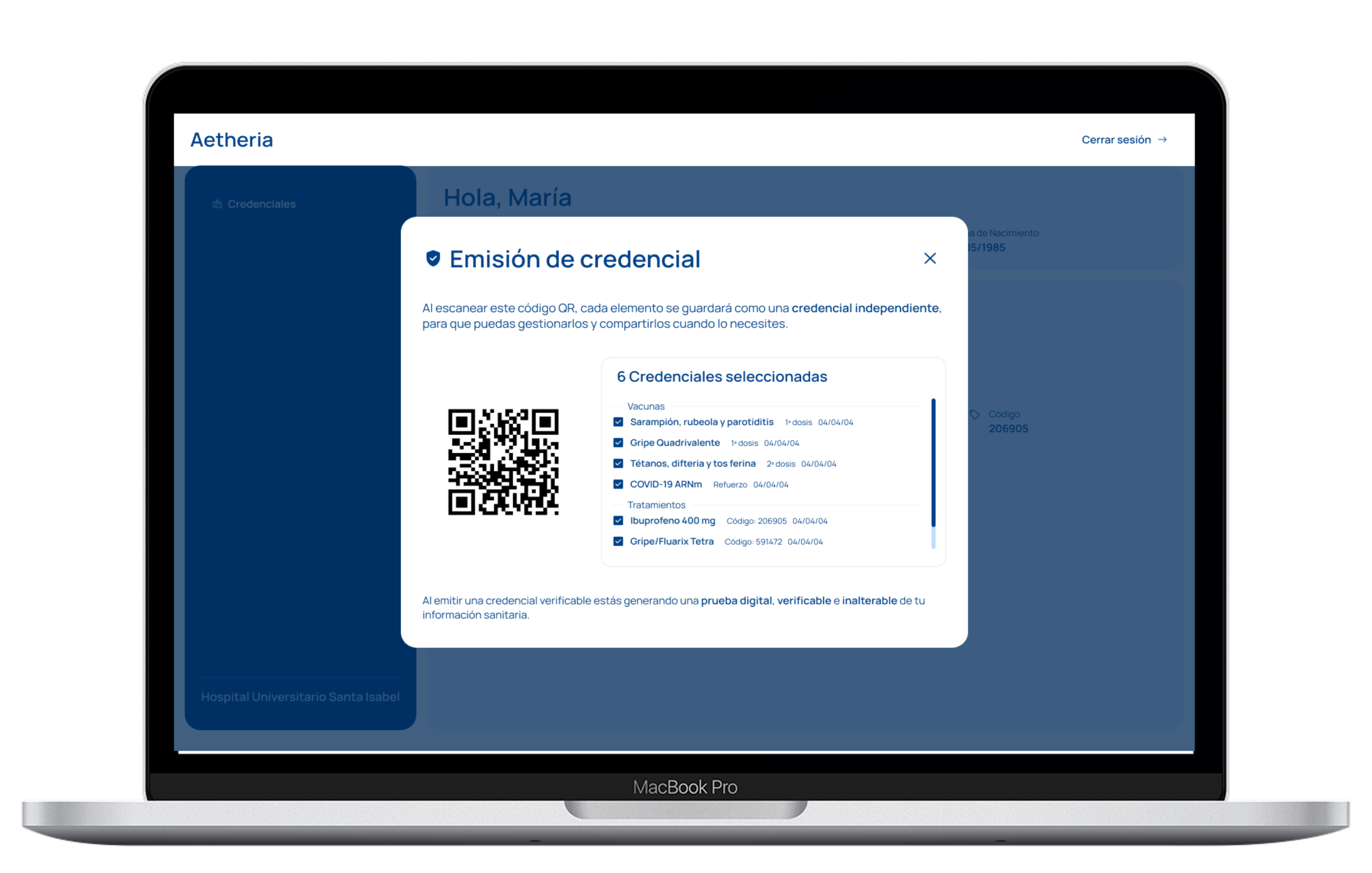 imagen de ejemplo de interfaz del proyecto